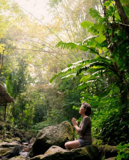 Jungle Yoga & Meditation Retreat