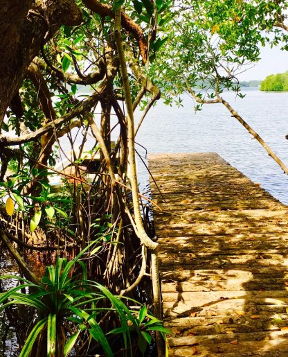 Cinnamon Island Boat Tour