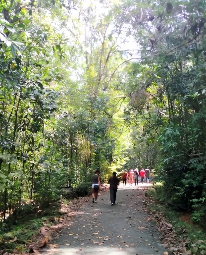 Explore Kanneliya Rainforest