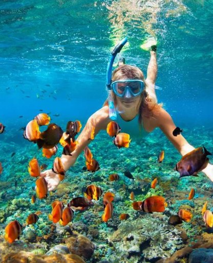 Diving and Snorkeling Trips 