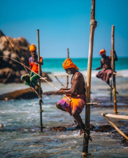 Stilt Fishing Observation