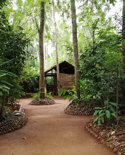 Nature & Herb Garden Walks