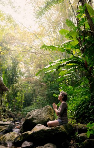 Jungle Yoga & Meditation Retreat