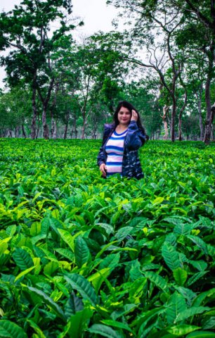 Handunugoda Virgin White Tea Factory